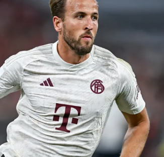 安东尼红牌 安东尼红牌