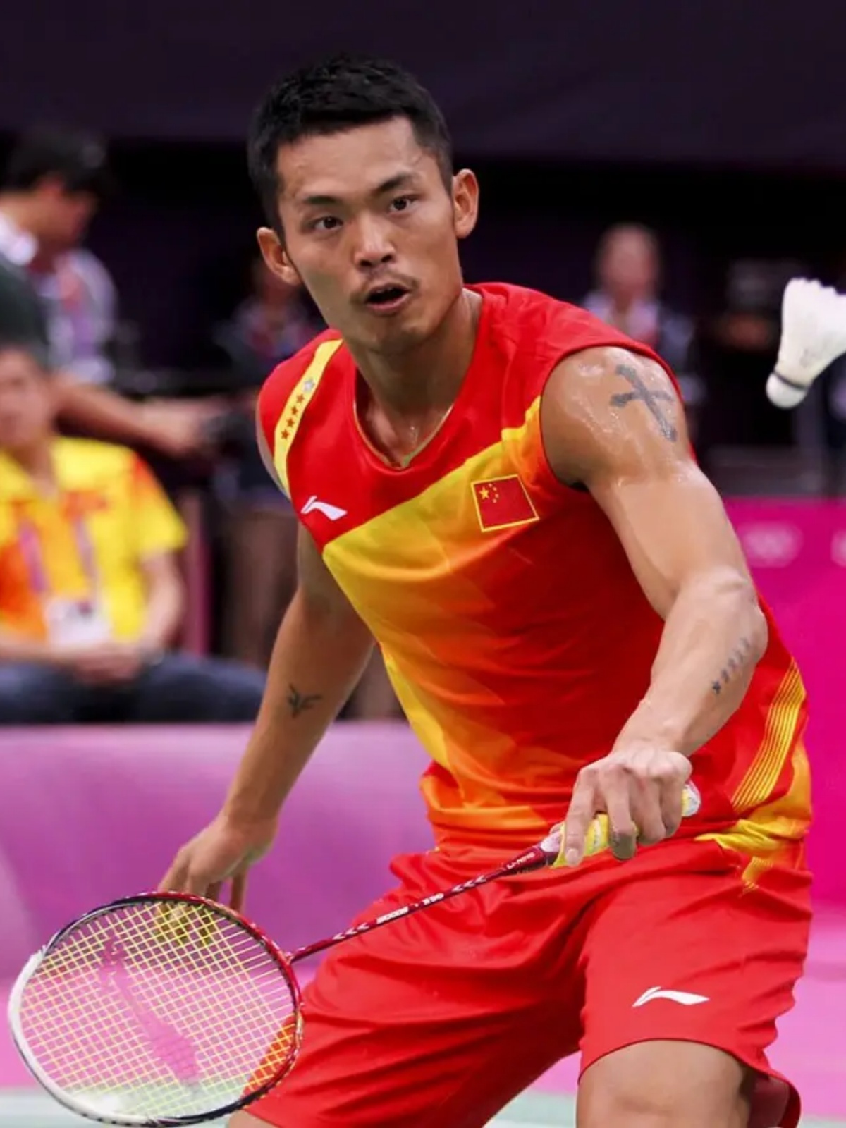 研究有关 研究有关