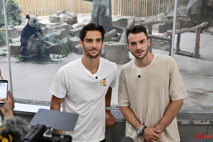 无论是明星 无论是明星